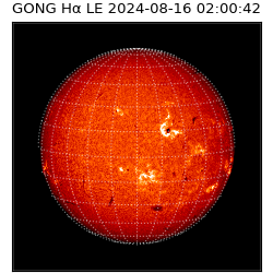 gong - 2024-08-16T02:00:42