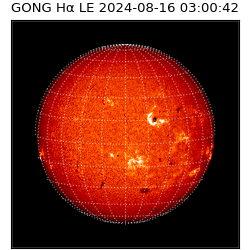 gong - 2024-08-16T03:00:42
