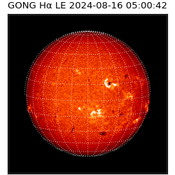 gong - 2024-08-16T05:00:42