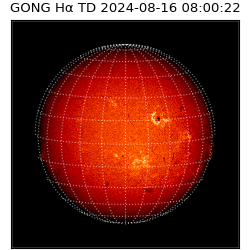 gong - 2024-08-16T08:00:22