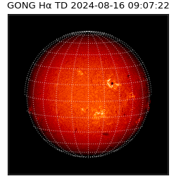 gong - 2024-08-16T09:07:22