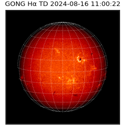 gong - 2024-08-16T11:00:22
