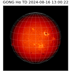 gong - 2024-08-16T13:00:22