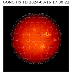gong - 2024-08-16T17:00:22