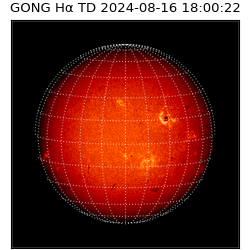 gong - 2024-08-16T18:00:22