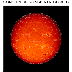 gong - 2024-08-16T19:00:02