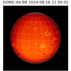 gong - 2024-08-16T21:00:02