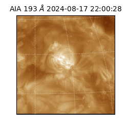 saia - 2024-08-17T22:00:28.843000