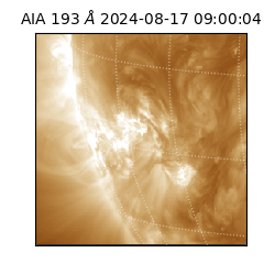 saia - 2024-08-17T09:00:04.846000