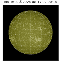 saia - 2024-08-17T02:00:14.126000