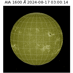 saia - 2024-08-17T03:00:14.126000