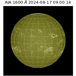 saia - 2024-08-17T09:00:14.137000