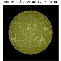 saia - 2024-08-17T23:00:38.126000