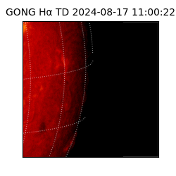 gong - 2024-08-17T11:00:22