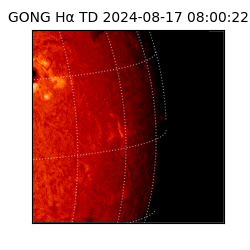 gong - 2024-08-17T08:00:22