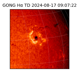 gong - 2024-08-17T09:07:22