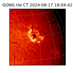 gong - 2024-08-17T18:04:42