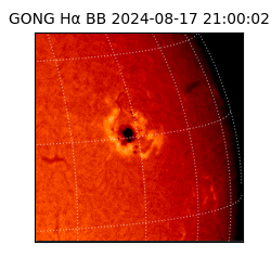 gong - 2024-08-17T21:00:02