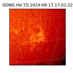 gong - 2024-08-17T17:01:22