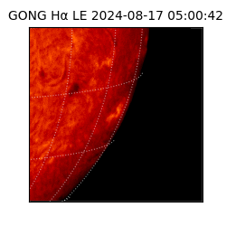 gong - 2024-08-17T05:00:42