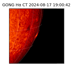 gong - 2024-08-17T19:00:42