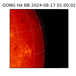 gong - 2024-08-17T01:00:02