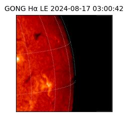 gong - 2024-08-17T03:00:42