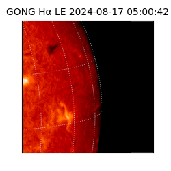 gong - 2024-08-17T05:00:42