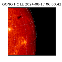 gong - 2024-08-17T06:00:42