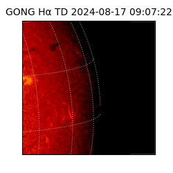 gong - 2024-08-17T09:07:22