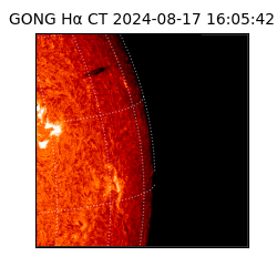 gong - 2024-08-17T16:05:42