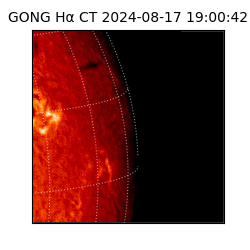 gong - 2024-08-17T19:00:42