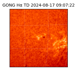 gong - 2024-08-17T09:07:22