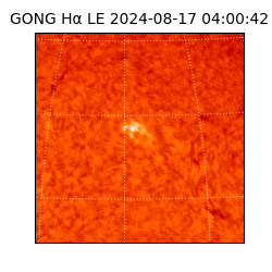 gong - 2024-08-17T04:00:42