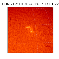 gong - 2024-08-17T17:01:22