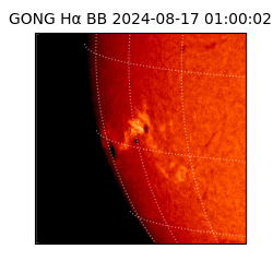 gong - 2024-08-17T01:00:02