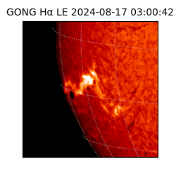 gong - 2024-08-17T03:00:42