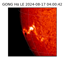 gong - 2024-08-17T04:00:42