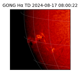 gong - 2024-08-17T08:00:22