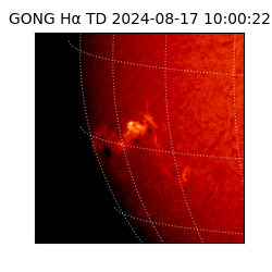 gong - 2024-08-17T10:00:22