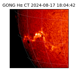 gong - 2024-08-17T18:04:42