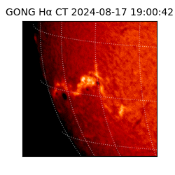 gong - 2024-08-17T19:00:42