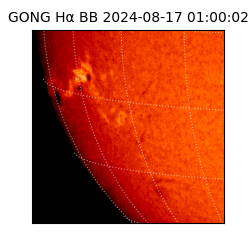 gong - 2024-08-17T01:00:02