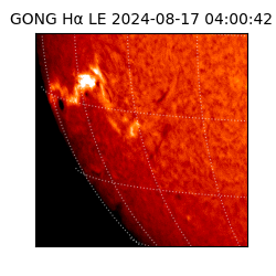 gong - 2024-08-17T04:00:42