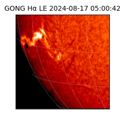 gong - 2024-08-17T05:00:42