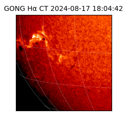 gong - 2024-08-17T18:04:42