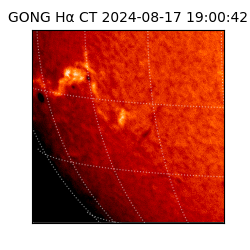 gong - 2024-08-17T19:00:42