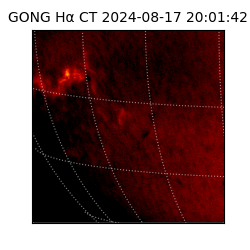 gong - 2024-08-17T20:01:42