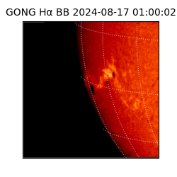 gong - 2024-08-17T01:00:02