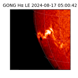 gong - 2024-08-17T05:00:42